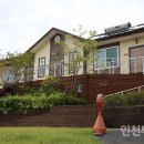 백십자사