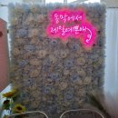 동막여관 이미지