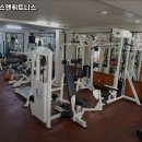 현대헬스&휘트니스 네이버블로그