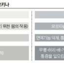 노안-백내장 동시수술 · 호두와 건강… 숲 이미지