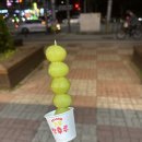 달콤왕가탕후루첨단점