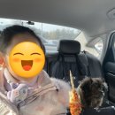 핫바·통감자 이미지