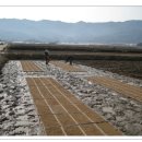 운봉의뜰 이미지