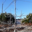 필봉농장 이미지