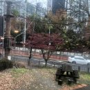 한경희개성만두 이미지