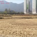 북창원농협화천지점 이미지