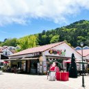 김순옥찹쌀도너츠메타점 | 담양 메타프로방스 아이스크림 김순옥찹쌀도너츠 메타점
