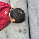 분당고등학교 이미지