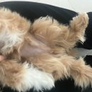 말바우동물병원 이미지