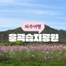율곡습지공원 코스모스 축제 주차 위치 파주나들이