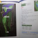 라이브 스크린골프 이미지