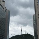 봄에 핀 온누리 약국 | 나혼자 서울 나들이 남대문 아동복 거리 야채호떡 왕솔 약국 명동 나들이