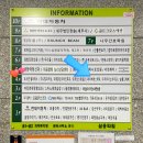 페이버에스테틱 이미지