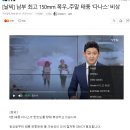 [날씨] 남부 최고 150mm 폭우...주말 태풍 '다나스' 비상 이미지