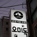 펫독강아지고양이분양미용