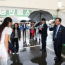 별빛비어