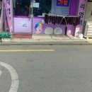 구피염색방 이미지