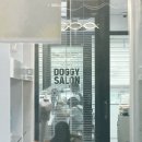 도기살롱 이미지