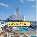 썬(sun)노래연습장 | 선 프린세스(Sun Princess) 2편- 수영장, 공연장, 세탁실 등 편의 시설