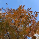 그림책으로 배우고 연습하는 비폭력대화 이미지