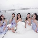 도브디렉션