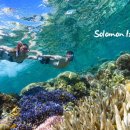 솔로몬2 이미지