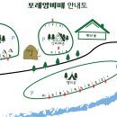 앙비떼 이미지