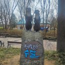 황새가족과 황새알 | 전주 벚꽃명소 전주동물원 벚꽃 개화현황, 동물 많이 본 후기(대박 영상有)