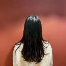 보다봄 이미지
