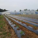 중하농장 이미지