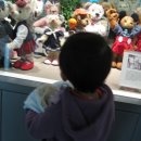 테디베어뮤지엄 이미지