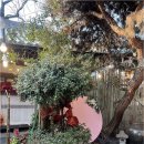 설레는마을 | 전주 한옥마을 한복대여 가격 만족스럽고 설레는 전주여행