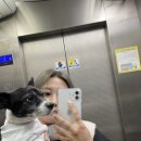 개이득뽑기방 이미지