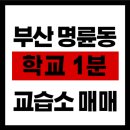 포커스공인중개사사무소 이미지