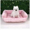 데이지 독 이미지