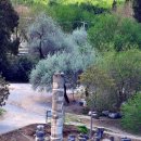 사도교회 앞 이미지