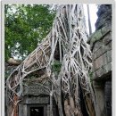 앙코르와트 [Angkor Wat] - 캄보디아 이미지