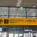 스위트 - 종로구 청계천로 319 | 서울 용산 노보텔 스위트 호텔 호캉스 후기