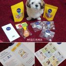 반했다 너한테 이미지