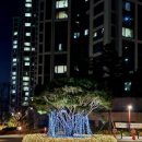 은미약국 이미지