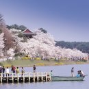 꽃피는봄이오면 이미지