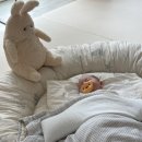 (주)소프트매쉬 | 신생아 엄마가 직접 써본 육아용품 추천템.비추템 후기