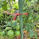 문산그린농약사 이미지