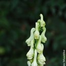 둥둥목장 이미지