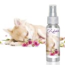 도그아로마 이미지