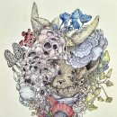 [전시]부산에서 만난 북아일랜드와 한국의 기억… ‘Topographia Coreana’ 이미지