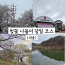 조천변 벚꽃길 | 세종 벚꽃 당일코스 추천, 조천변 벚꽃길부터 고복저수지까지 하루 나들이
