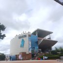 모노기타 | 🐋 울산 장생포 고래마을 아이와 가볼만한곳｜모노레일·돌고래 체험 후기