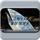 고래야 <미래도시> 이미지