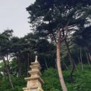 나들가게주공마트 이미지